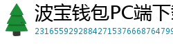 波宝钱包PC端下载